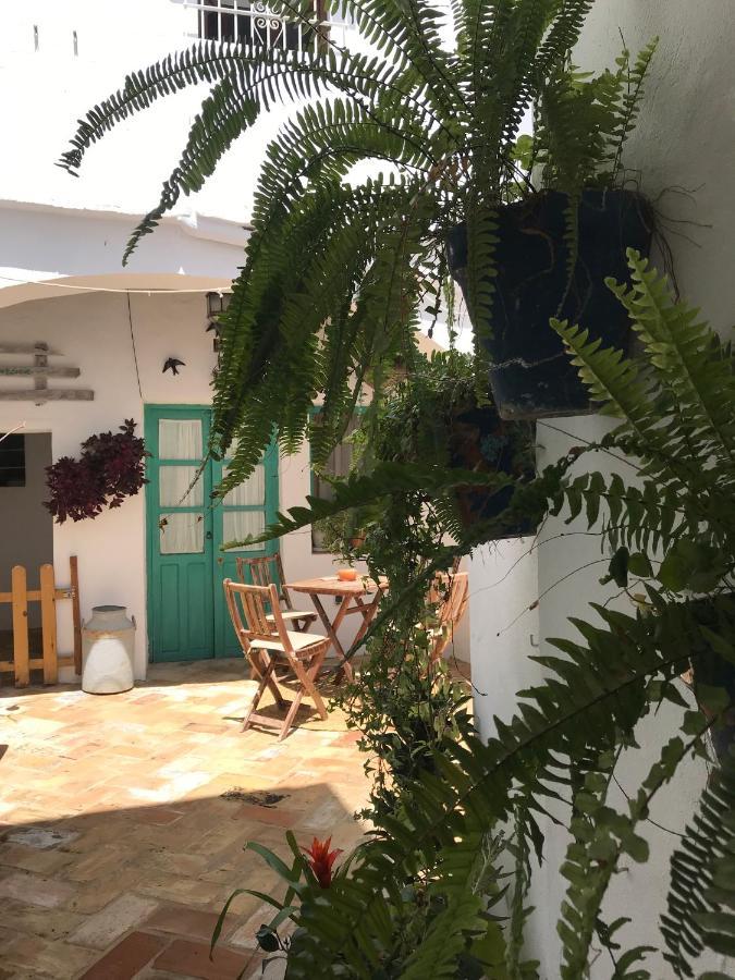 ベヘール・デ・ラ・フロンテーラCasa Aguamarinaアパートメント エクステリア 写真